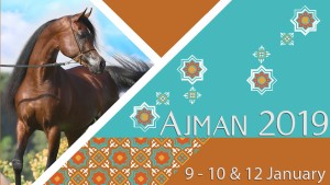 Polish Arabian Mares at Ajman Show