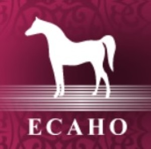 A new type of ECAHO show