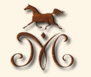 Arabian Horse Auction at Michałów - November 5th
