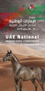 2019 United Arab Emirates National Championship
