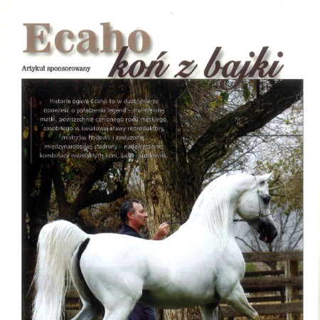 Izabella Pawelec-Zawadzka: Ecaho - koń z bajki (ARABY 6)