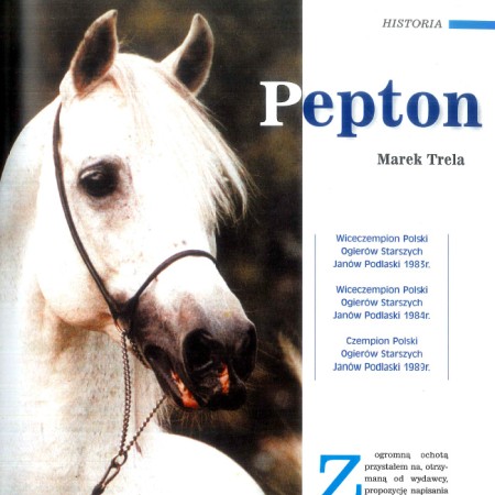Marek Trela: Pepton (ARABY 2)