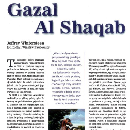Jeffrey Wintersteen: Gazal Al Shaqab (ARABY 20)