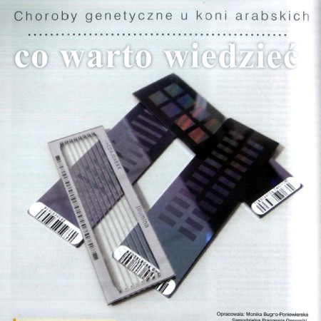 Monika Bugno-Poniewierska: Chrorby genetyczne u koni arabskich (ARABY MAGAZINE 3/4/2013)
